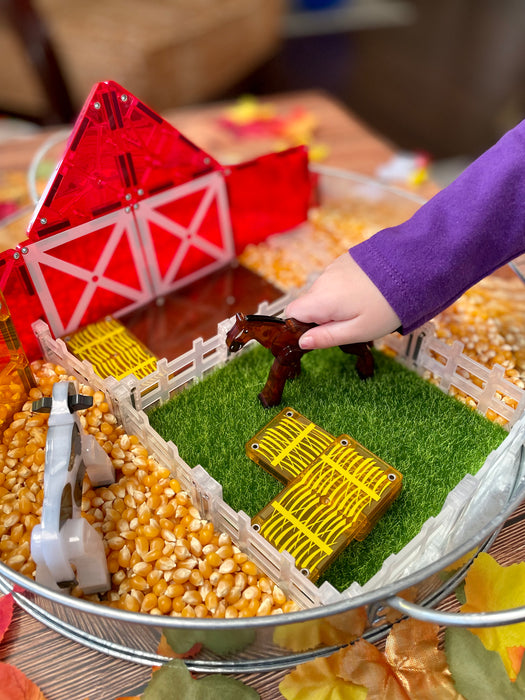 22125 - MAGNA-TILES® Farm Animals 25 piece