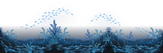 MOB - Pixiwave Onderwatercamera - Abyss